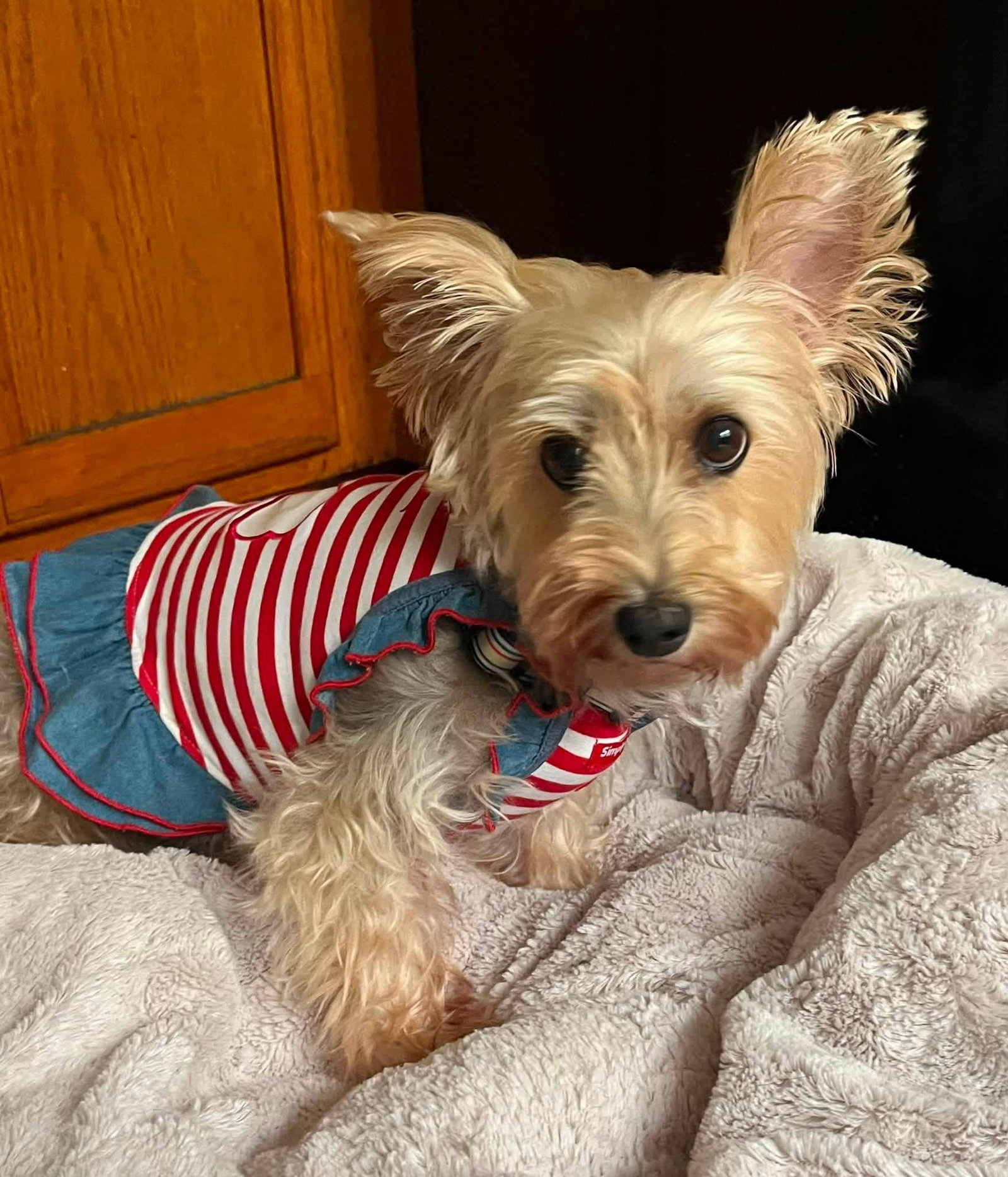 Miss Beulah Bella, photo 3