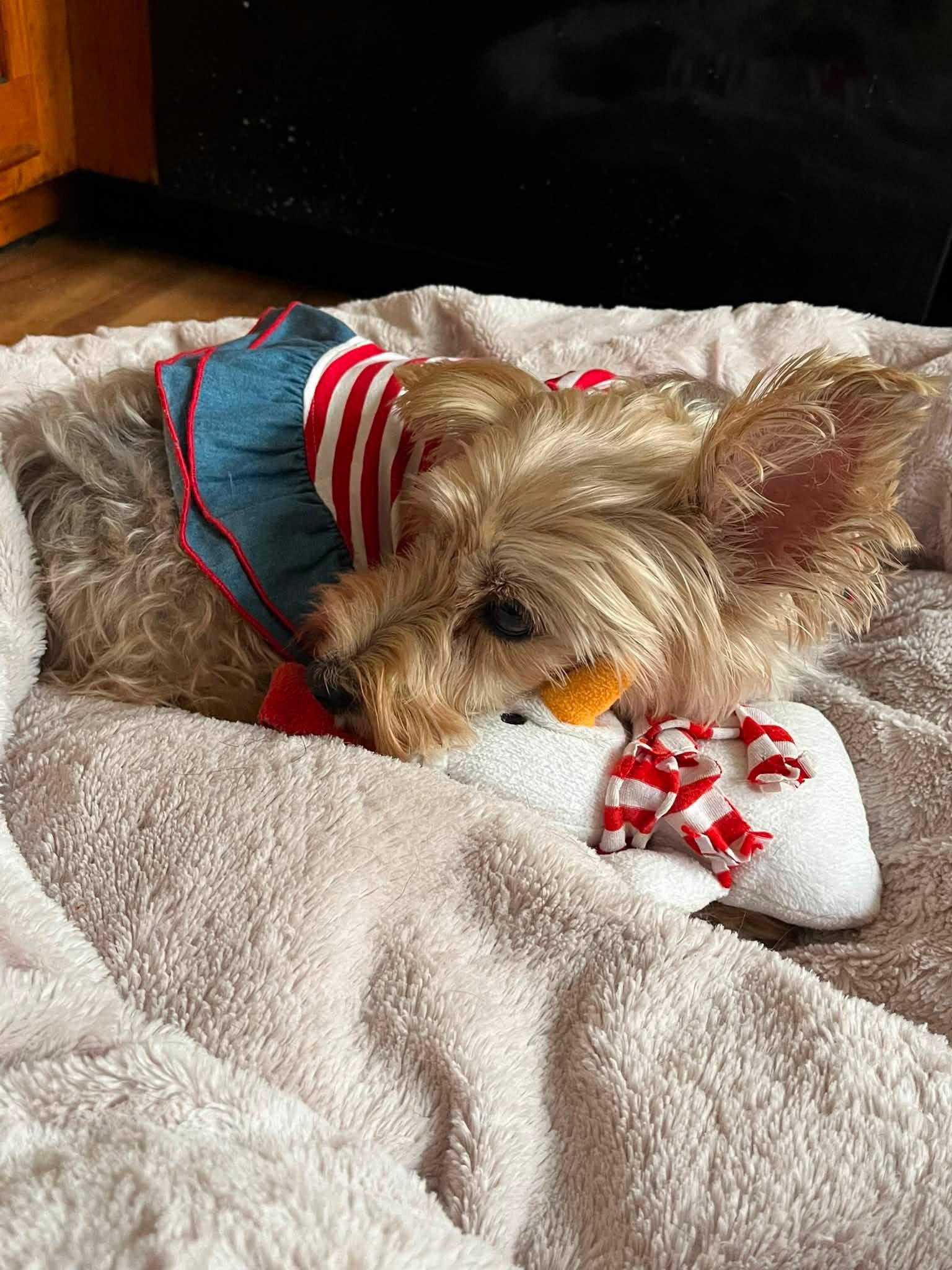 Miss Beulah Bella, photo 7