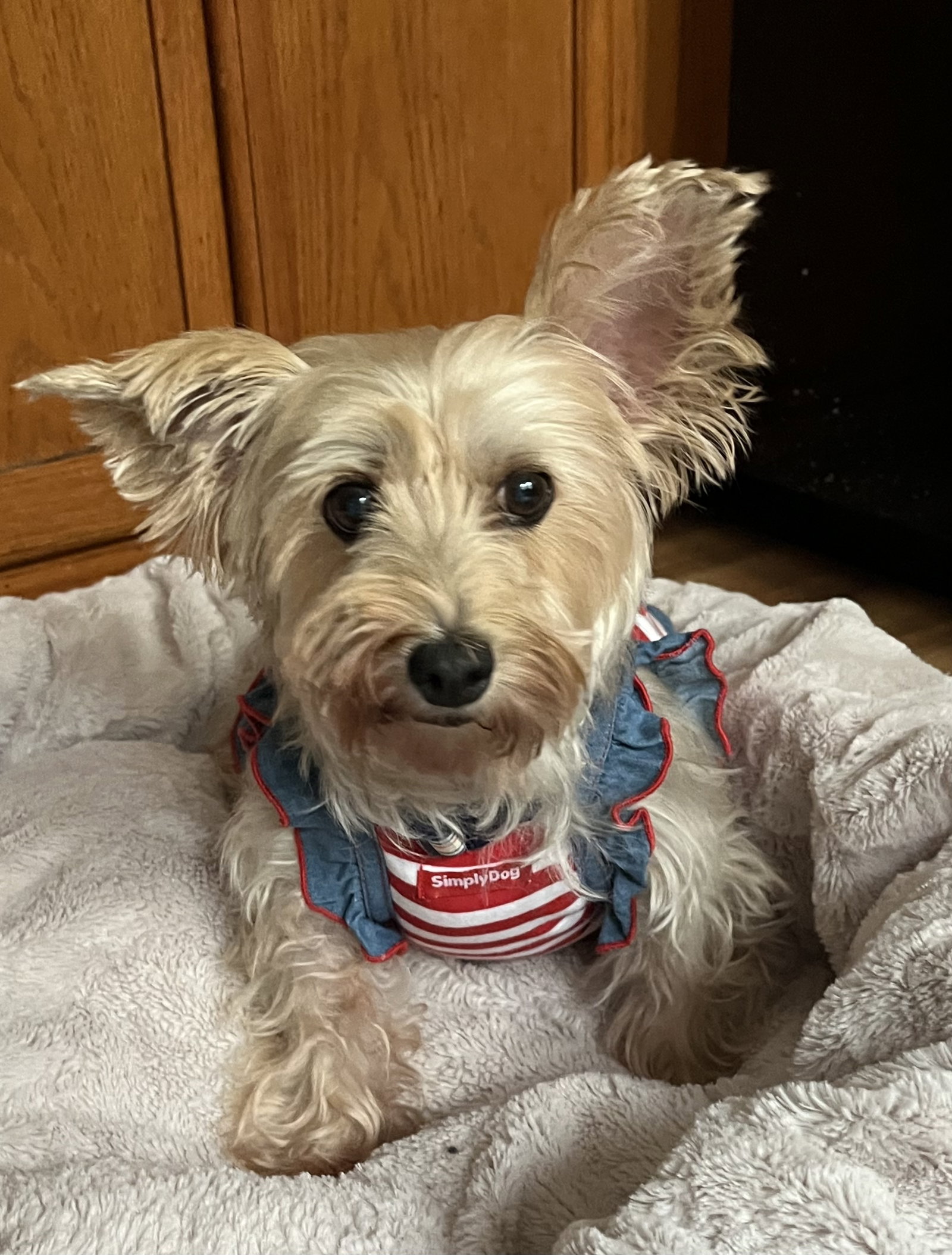Miss Beulah Bella, photo 12