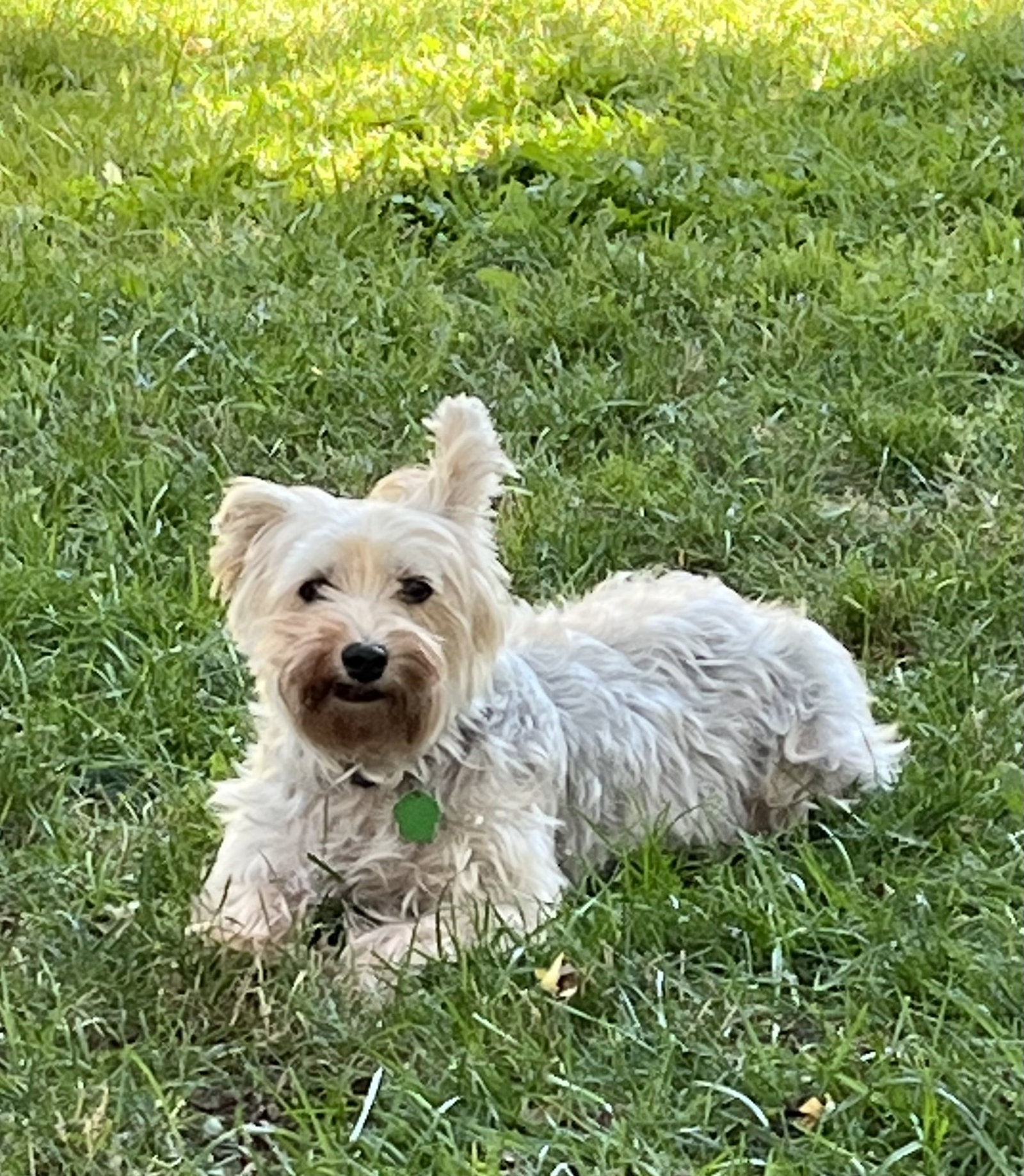 Miss Beulah Bella