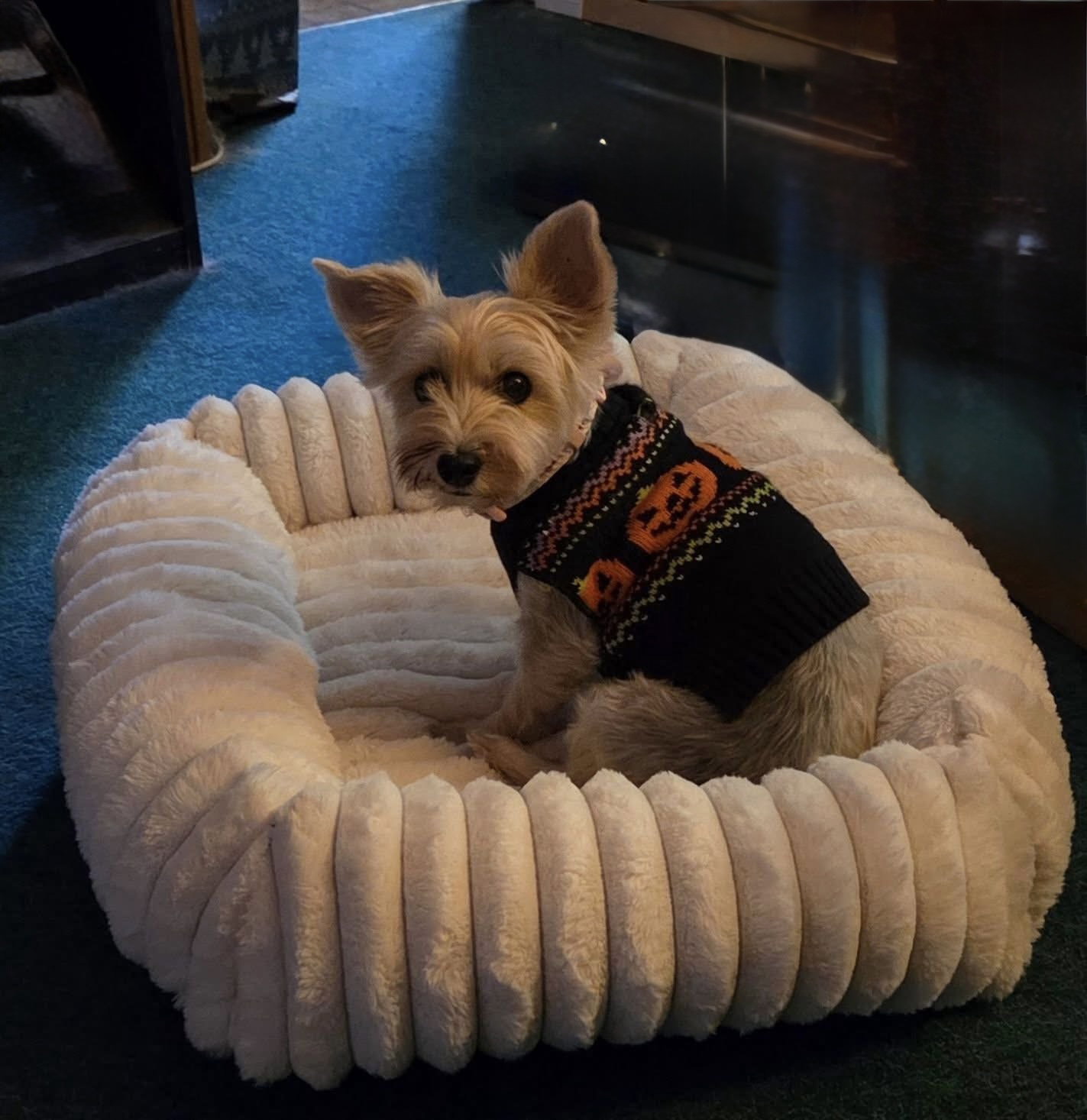 Miss Beulah Bella, photo 2