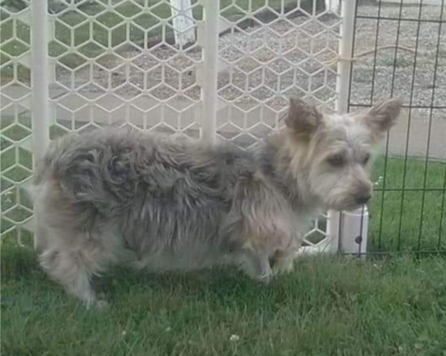 Miss Beulah Bella, photo 10