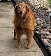 Molly