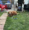 Molly