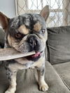 Peanut
