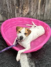 Jill - Photo 7
