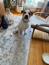 Jill - Photo 12