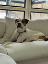 Jill - Photo 13