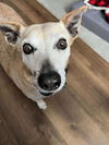 Ms. Fiona