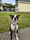Mr. Handsome
