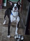 Mr. Handsome