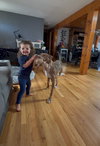 Woody - Photo 8