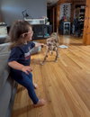 Woody - Photo 11