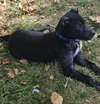 Eli - Photo 7