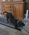 Sweet Rosie - Photo 3