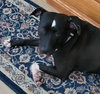 Sweet Rosie - Photo 4