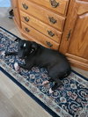 Sweet Rosie - Photo 8