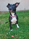 Sweet Rosie - Photo 1