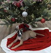 Murphy - Photo 2