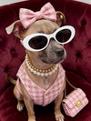 Roxy - Photo 4