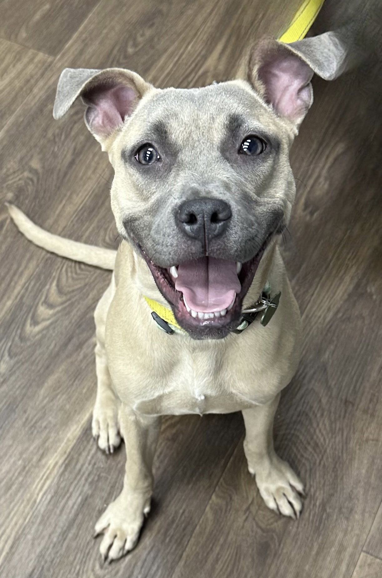 Roxy