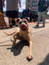 Roxy - Photo 5