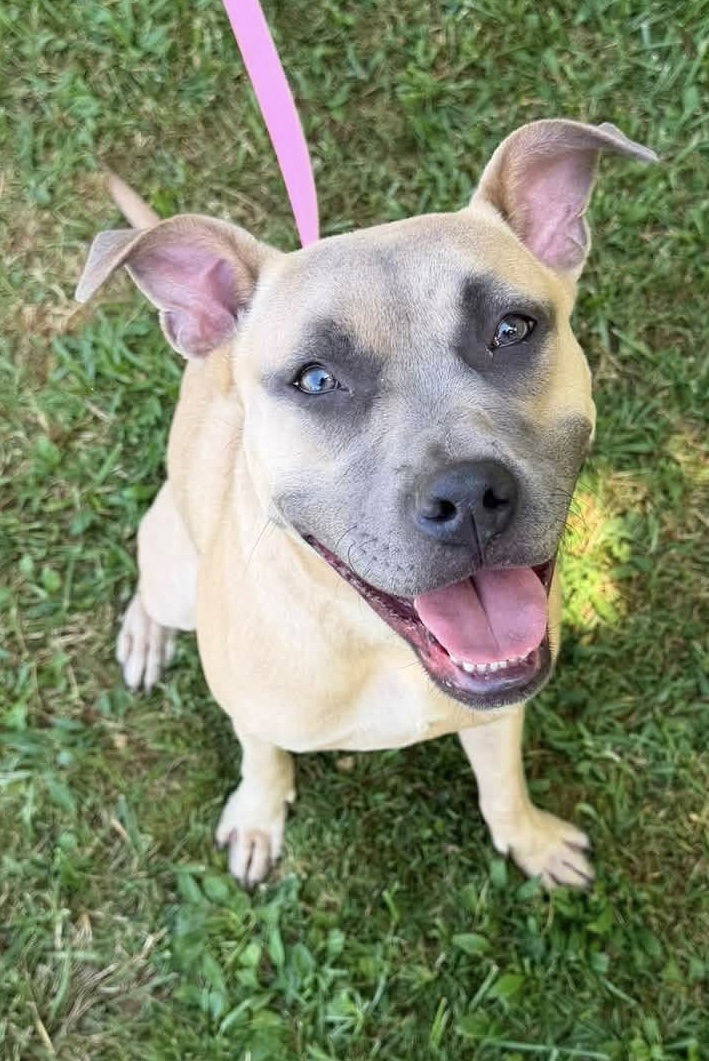 Roxy Image