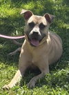 Roxy - Photo 2