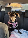 Adeline - Photo 7
