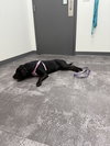 Adeline - Photo 8