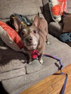 Lil' Momma - Photo 2