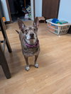 Lil' Momma - Photo 4
