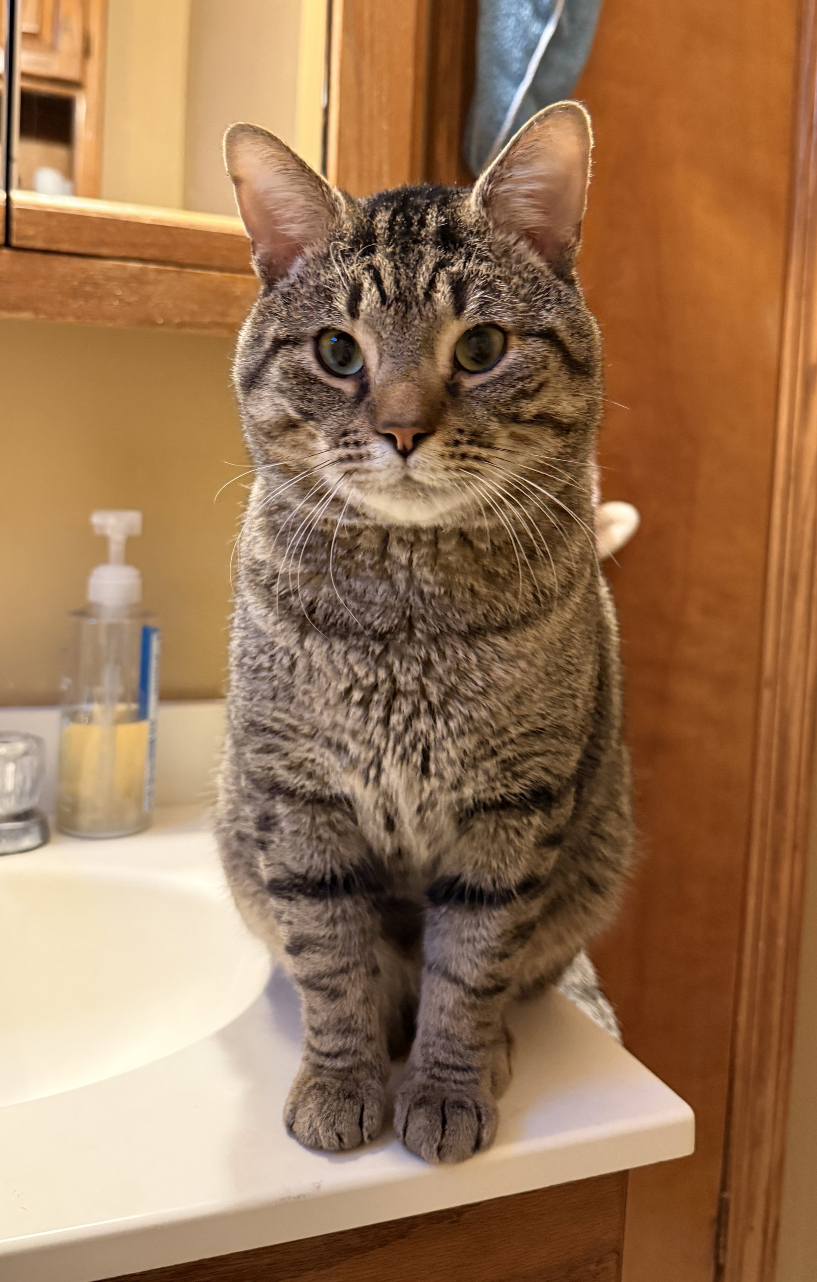 Bruce