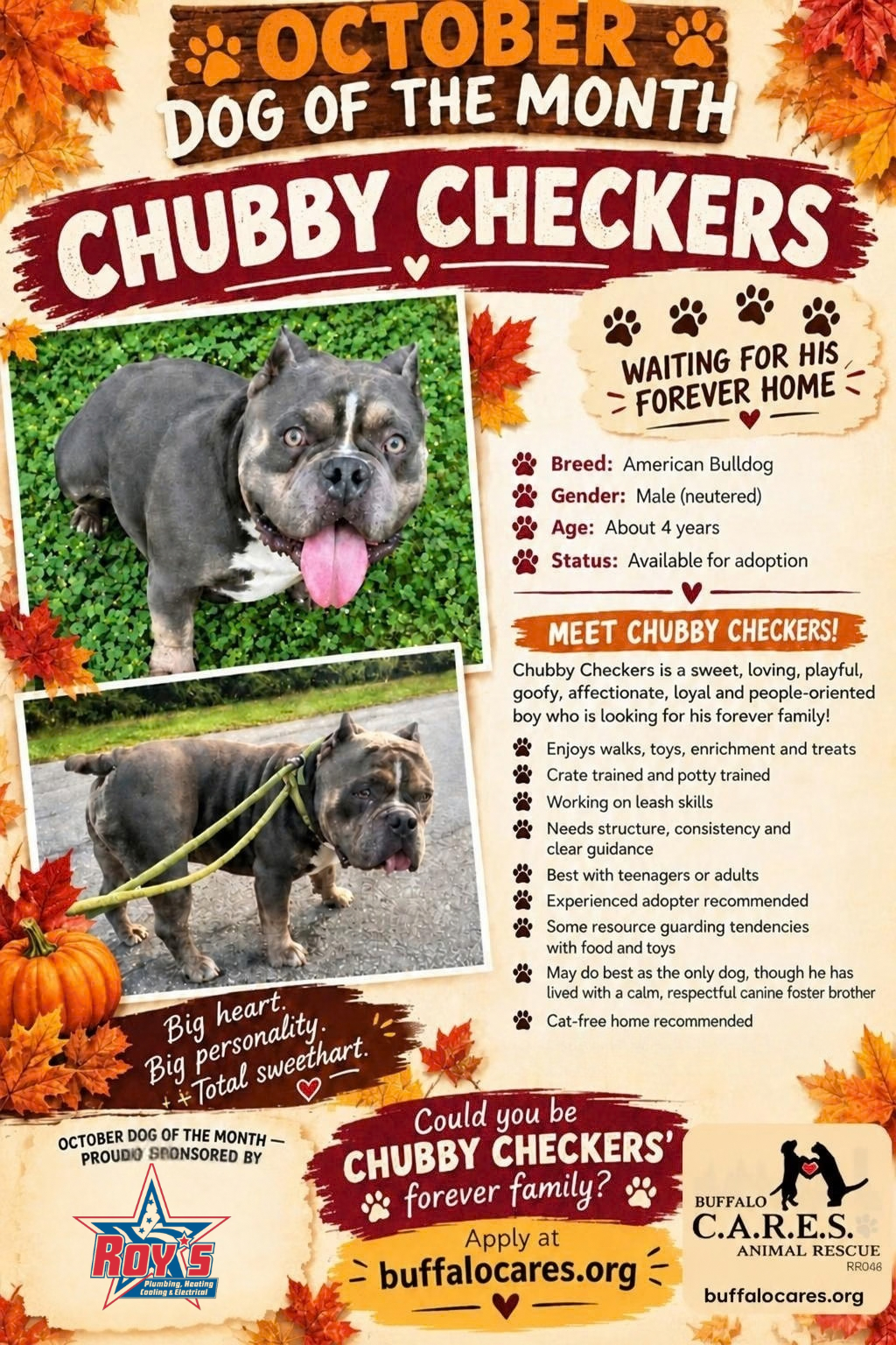 Chubby Checkers