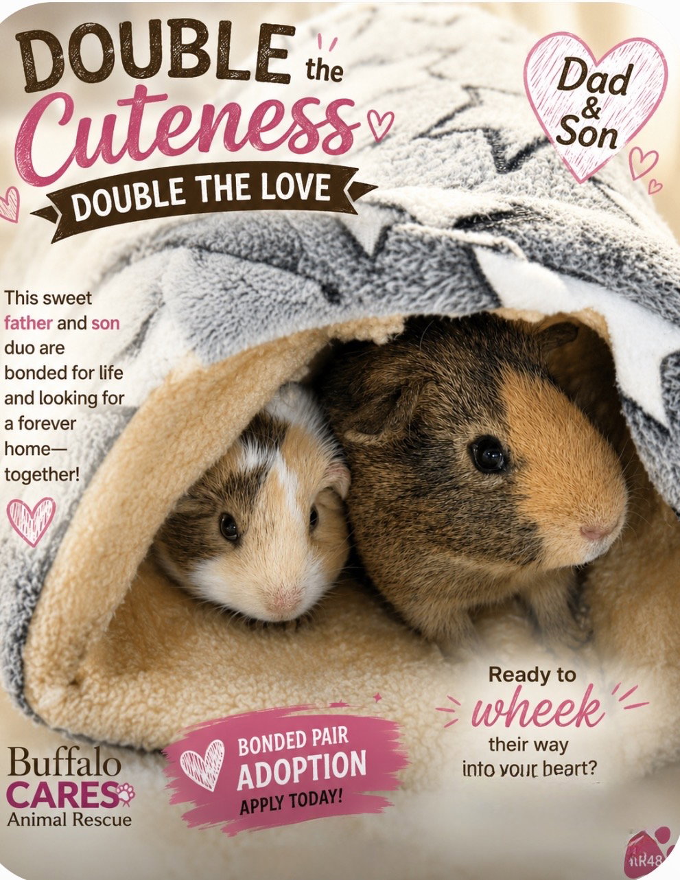 Butterscotch and Chocolate Chip