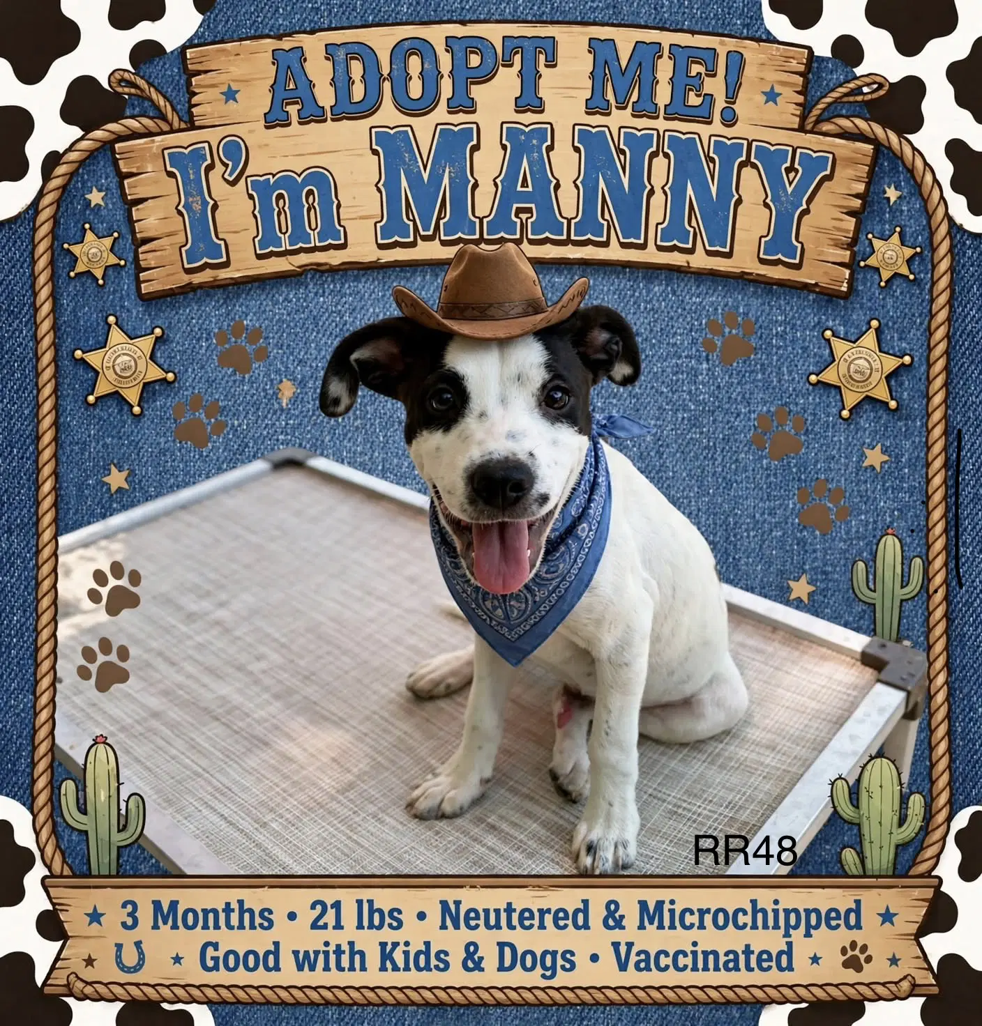 Manny image 2