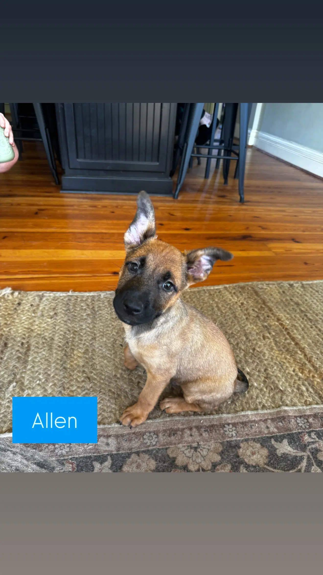 Allen image 4