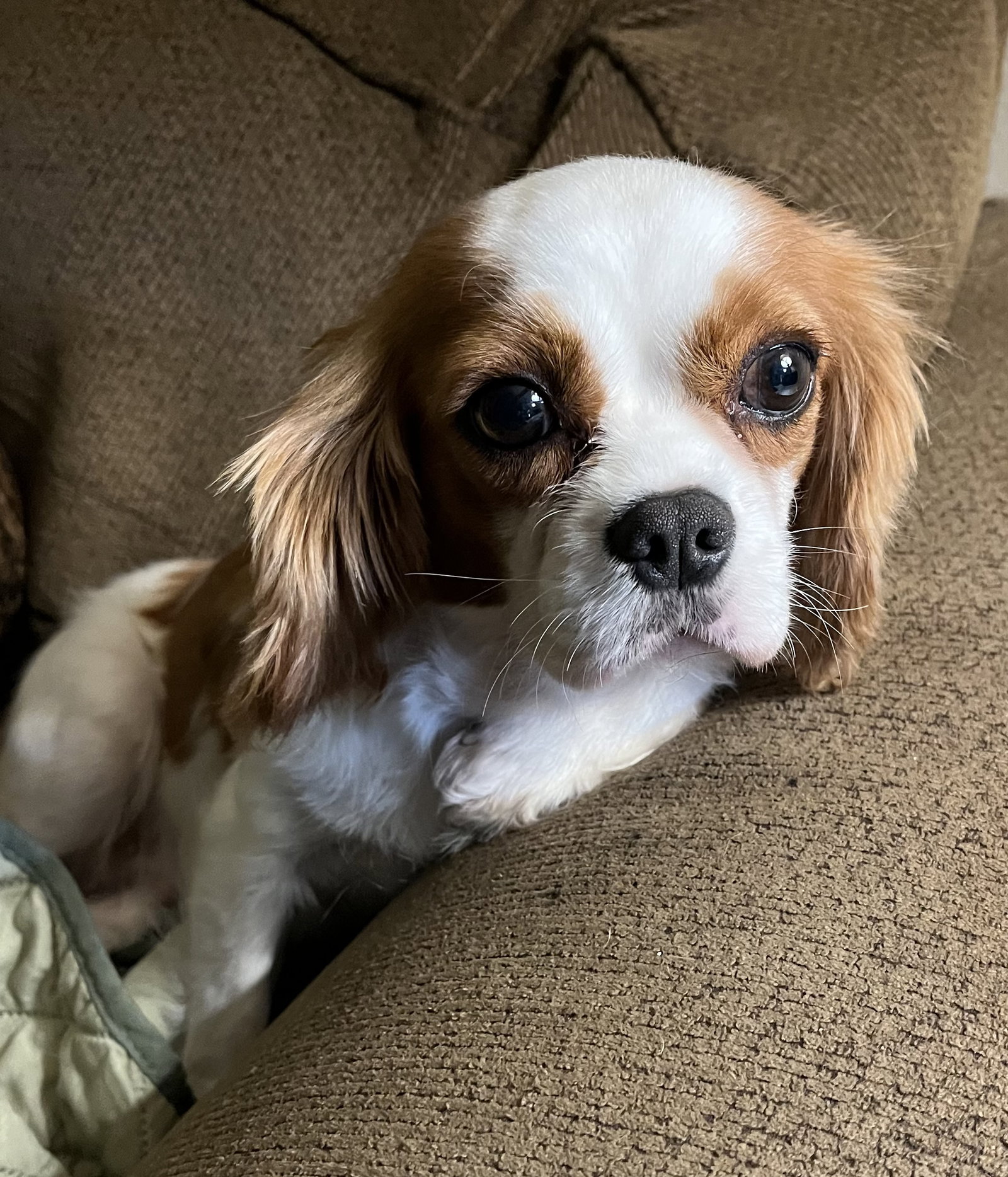 Gigi, photo 5