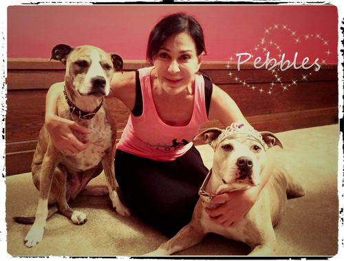 Pebbles