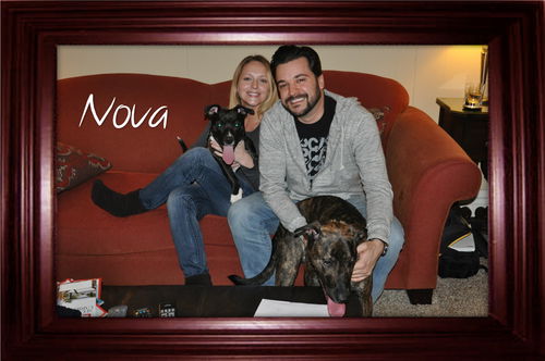 Nova