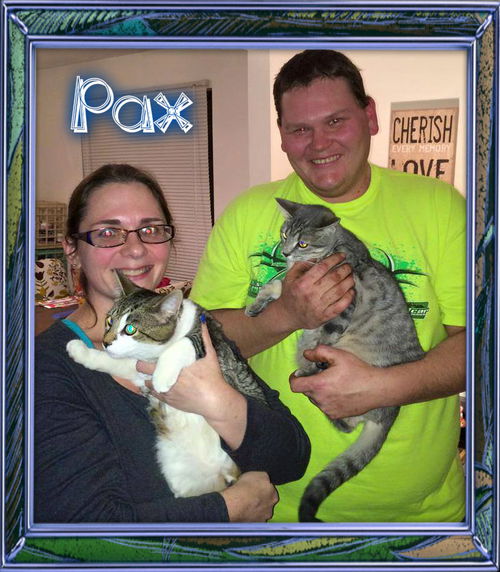 Pax