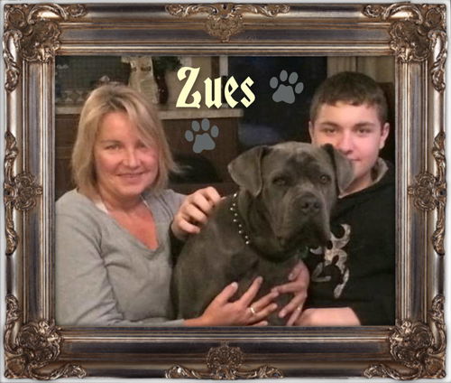 Zues