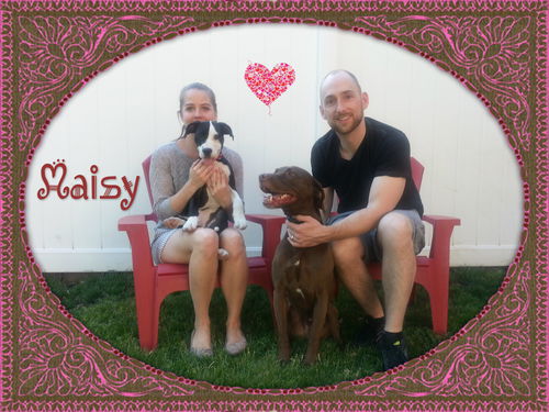 Maisy