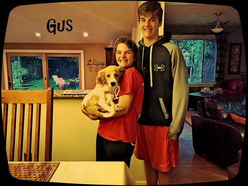 Gus