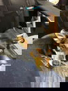 Mag