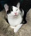 Mae Mae - Photo 5