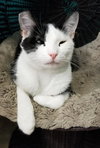 Mae Mae - Photo 2