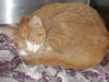 Vanna White - Photo 2