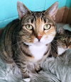 Jewel - Photo 2