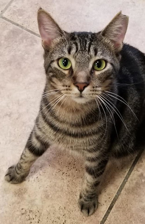 Photo 4 of Marbles